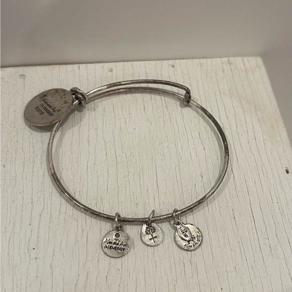 Cape Cod Alex & Ani Bangle Bracelet SIlver - Picture 4 of 7